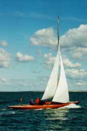 Harlekin sailing